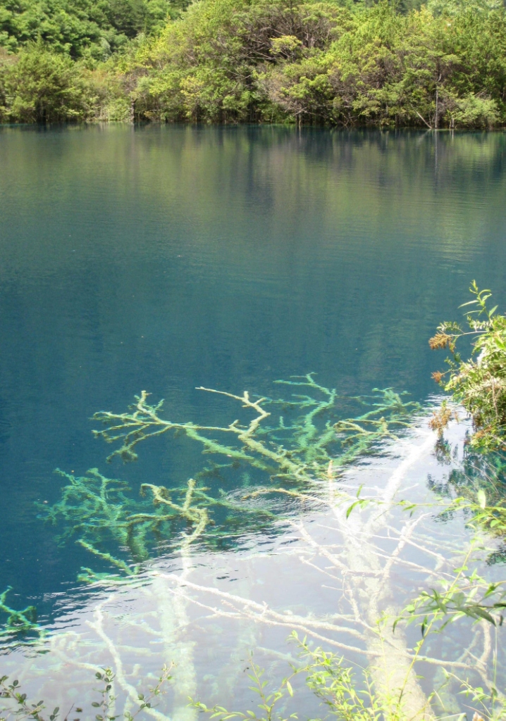 Bevictorΰ¹-Τ(й)-ΰʼ1946