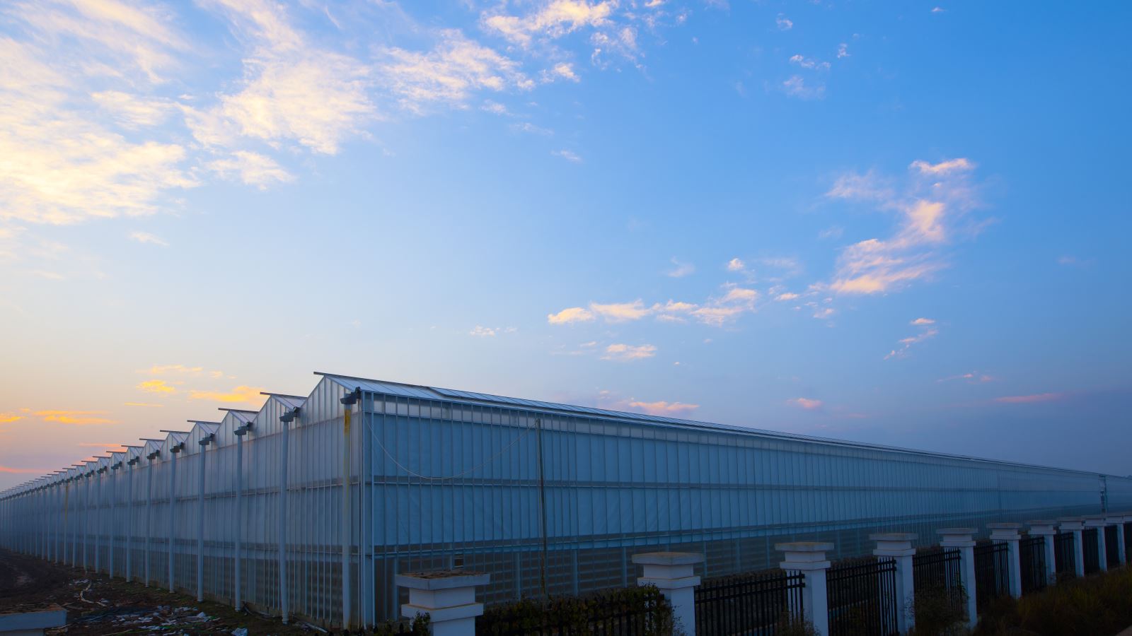 Bevictor伟德官网-韦德(中国)体育-伟大始于1946