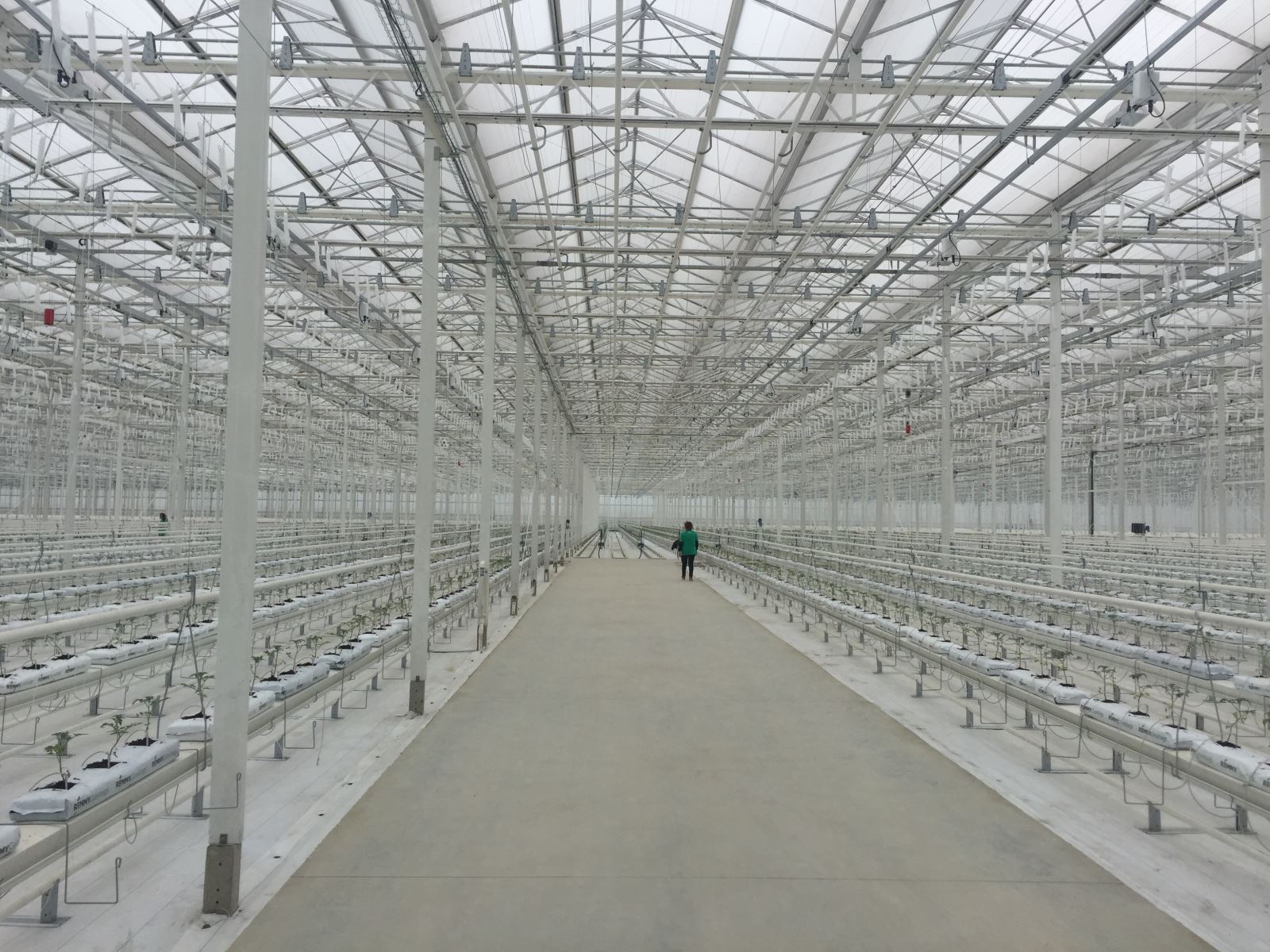 Bevictor伟德官网-韦德(中国)体育-伟大始于1946